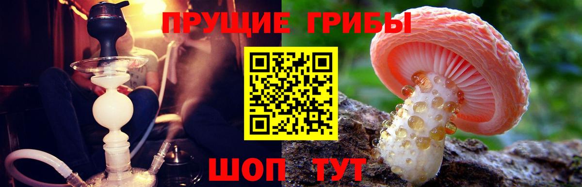 Галлюциногенные грибы мухоморы  Вход с VPN  Минусинск 